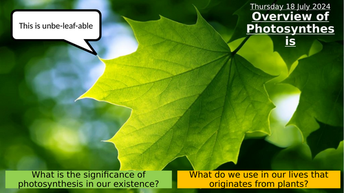 11.1 Overview of Photosynthesis