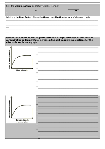 docx, 28.56 KB