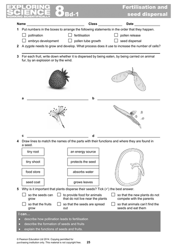 KS3 lesson on seeds and seed dispersal - Edexcel