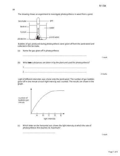 KS3 lesson on uses of Glucose in plants - Edexcel