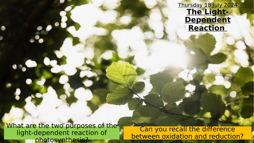 11.2 The Light-Dependent Reaction