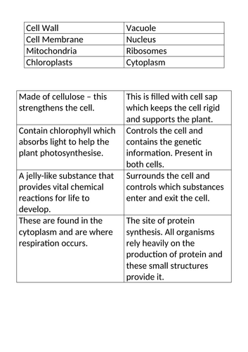 Animal and Plant Cells