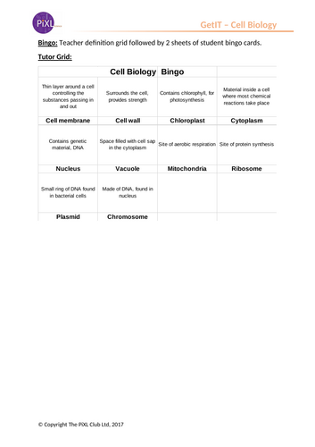 Prokaryotic and Eukaryotic Cells