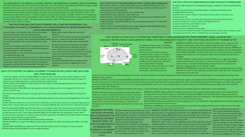 AQA A Level Psychology - Biopsychology Revision Guide | Teaching Resources