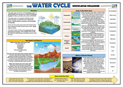 The Water Cycle - KS2 Knowledge Organiser!