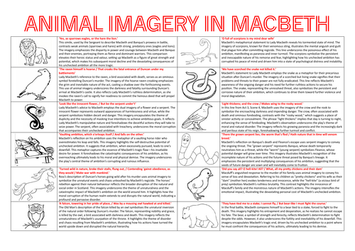 Animal Imagery Macbeth