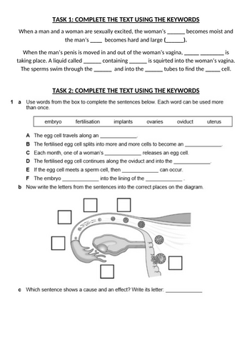 Variation and Human Reproduction (Year 7 ) KS3 Activate | Teaching ...