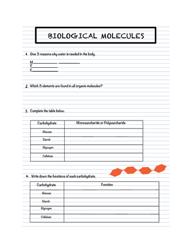 CIE iGCSE Biology 0970 (9-1) Topic 4 & 5 Biological Molecules & Enzymes ...