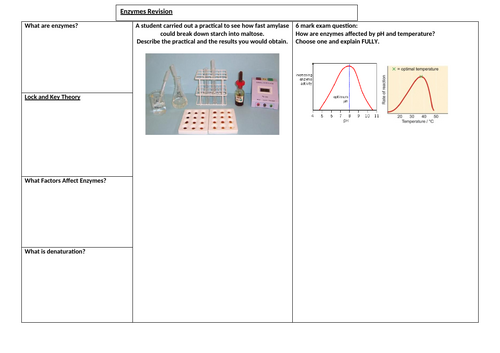 CIE iGCSE Biology 0970 (9-1) Topic 4 & 5 Biological Molecules & Enzymes ...