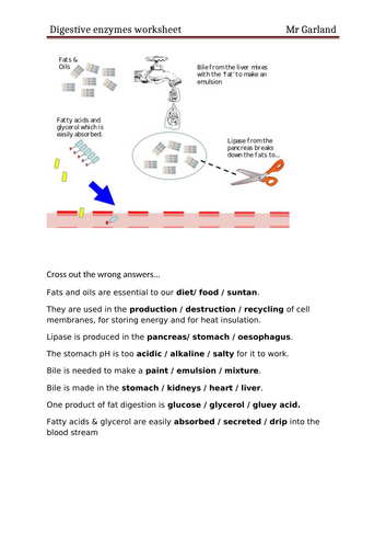 docx, 358.43 KB