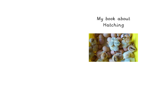 Chick Writing Provision Books Life cycle of a chick | Teaching Resources