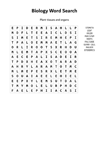 pdf, 77.06 KB
