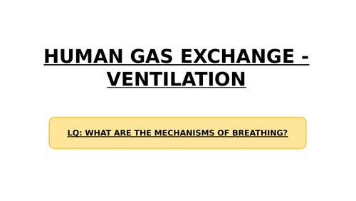 **iGCSE Biology Edexcel - VENTILATION** | Teaching Resources