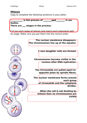 doc, 495.5 KB