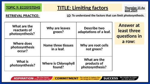 Respiration and Photosynthesis (Year 8) Activate KS3 | Teaching Resources