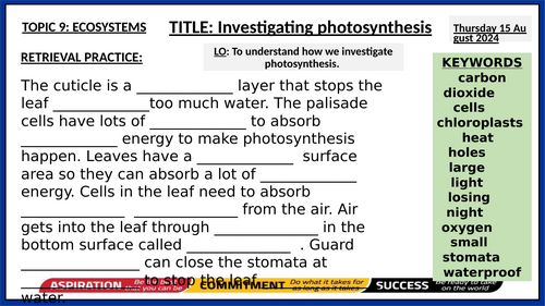 Respiration and Photosynthesis (Year 8) Activate KS3 | Teaching Resources