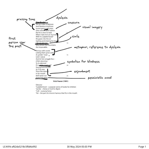 Unseen Poetry Analysis Slow Reader by Vicki Feaver | Teaching Resources