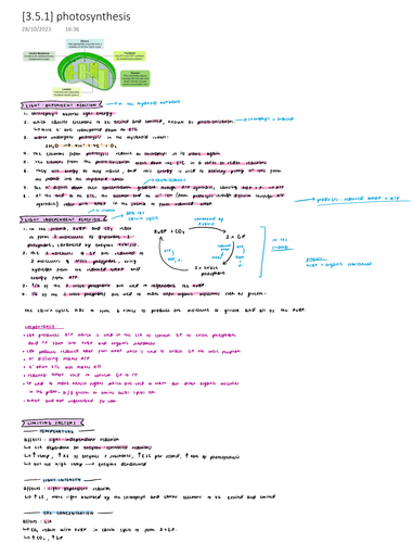 AQA A level Biology Notes Topic 5 Genetic information, variation and relationships between organisms