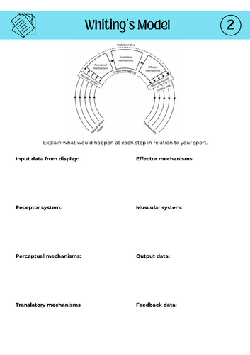 Information processing (AQA A level PE)