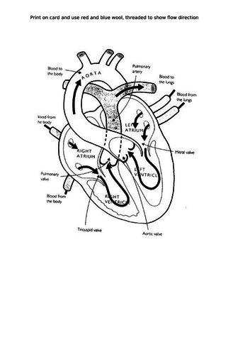 docx, 121.4 KB