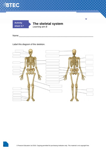 docx, 425.86 KB