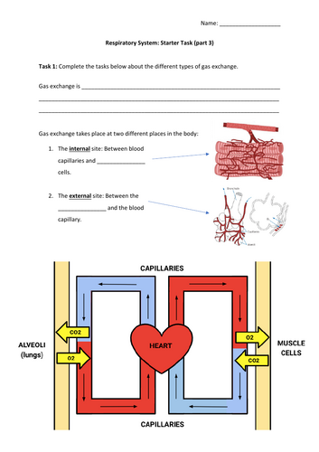 pdf, 428.4 KB