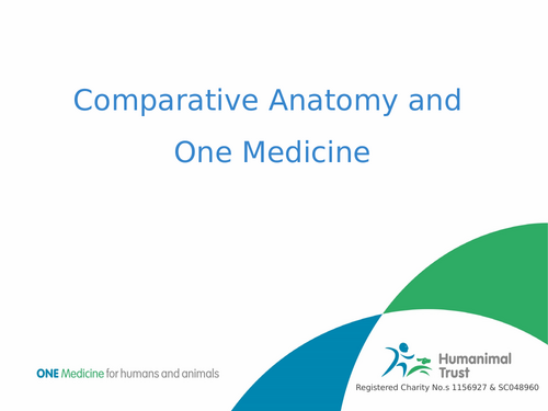 Comparative Anatomy - human and canine similarities and differences ...