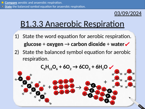 GCSE Biology: Anaerobic Respiration