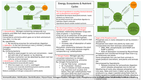 A-level AQA Biology Knowledge Organisers | Teaching Resources