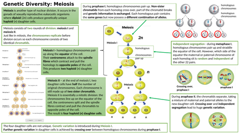 A-level AQA Biology Knowledge Organisers | Teaching Resources
