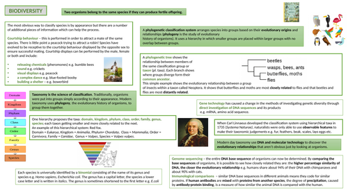 A-level AQA Biology Knowledge Organisers | Teaching Resources