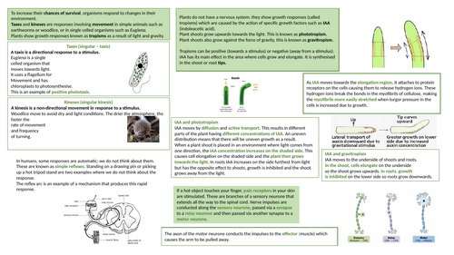 A-level AQA Biology Knowledge Organisers | Teaching Resources