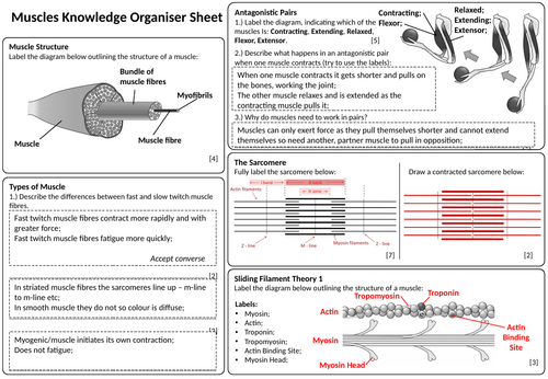 A-level AQA Biology Knowledge Organisers | Teaching Resources