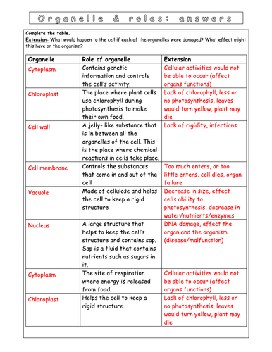 Year 7 - Living systems - L1 Animal and plant cells | Teaching Resources