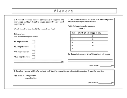 pdf, 116.49 KB