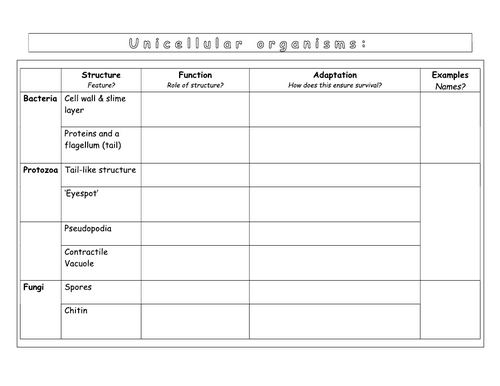 Year 7 - Living systems – L6 - Unicellular organisms worksheet ...
