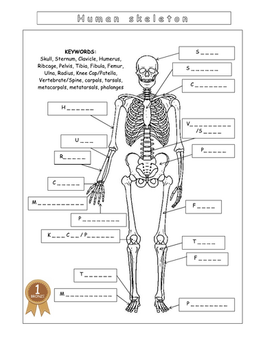 pdf, 133.81 KB