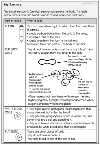 pdf, 198.03 KB