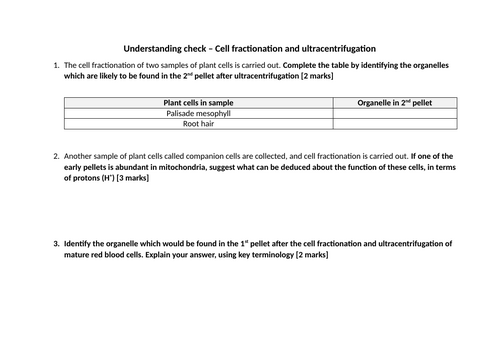 docx, 15.5 KB