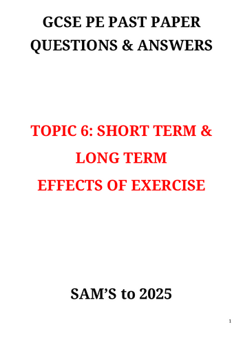 docx, 2.62 MB