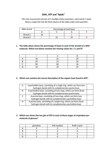 docx, 20.25 KB