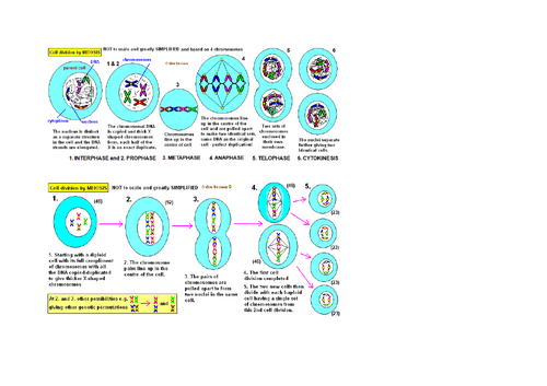 docx, 66.2 KB