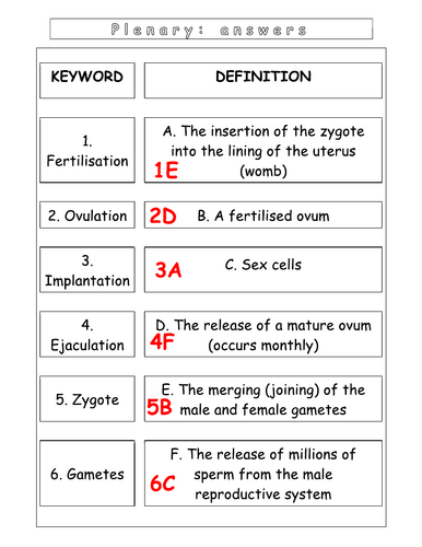 pdf, 93.18 KB