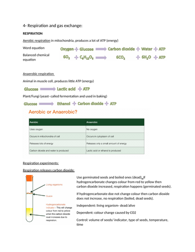 docx, 1.66 MB