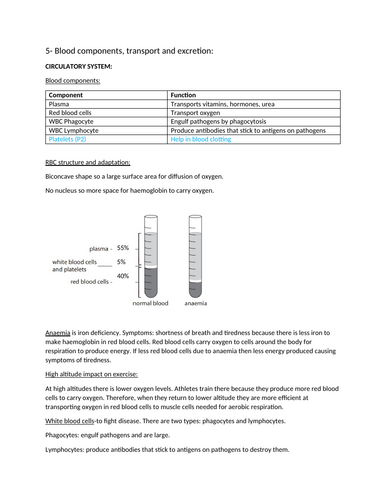 docx, 312.31 KB