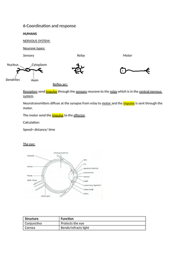 docx, 185.04 KB