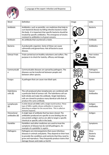 docx, 351.57 KB