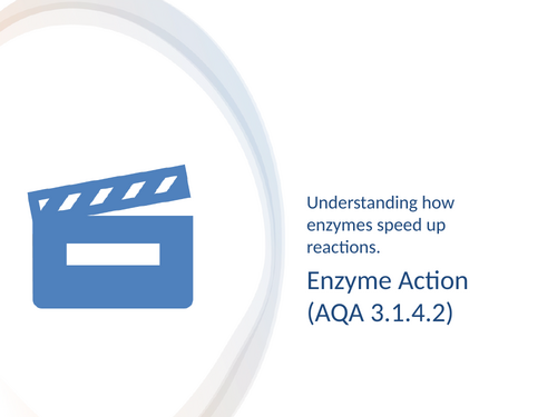 3.1.4.2 L7 Enzyme Action - biological molecules (AQA A-Level Biology)