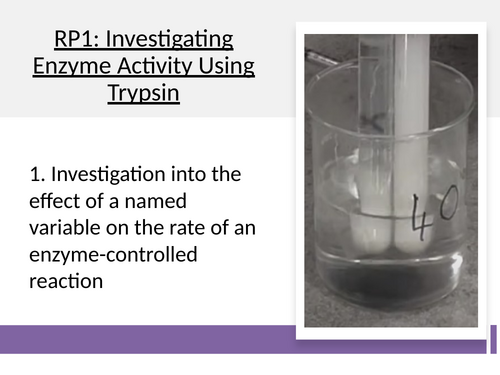 3.1.4.2 L10 RP1 Trypsin Activity (AQA A-level Biology)