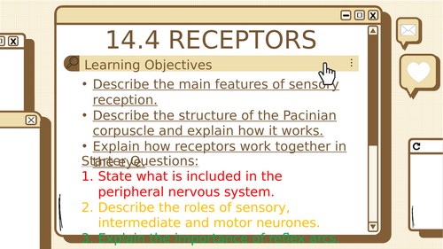 AQA A Level Biology 14.4 - Receptors | Teaching Resources